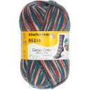 Regia 4-fädig Design Line 100 g Nr. 3857 Gargia Color "Polmak"