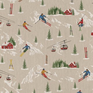 Dekostoff Christian, Winter, Skifahrer, Skier, Skihütte, Tannen