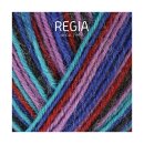 Regia 4-fädig Design Line 100 g Nr. 3867 twilight color