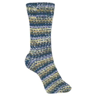 Schöller + Stahl Fortissima 4-fädig color, 100g Nr. 2491 Country