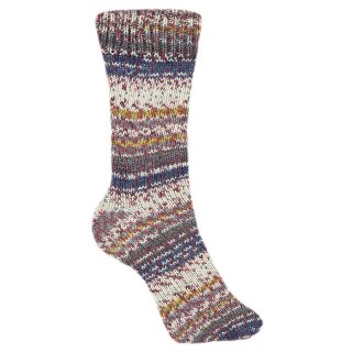 Schöller + Stahl Fortissima 4-fädig color, 100g Nr. 2482  Herbstlaub