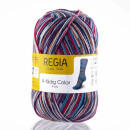 Regia 4-fädig Color 100 g Nr. 03080 raspberry veridian