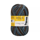 Regia 4-fädig Color 100 g Nr. 04135 squirrel